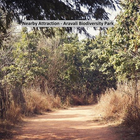 Oyo Dlf Cyber City Near Aravali Biodiversity Park Gurgaon Eksteriør bilde