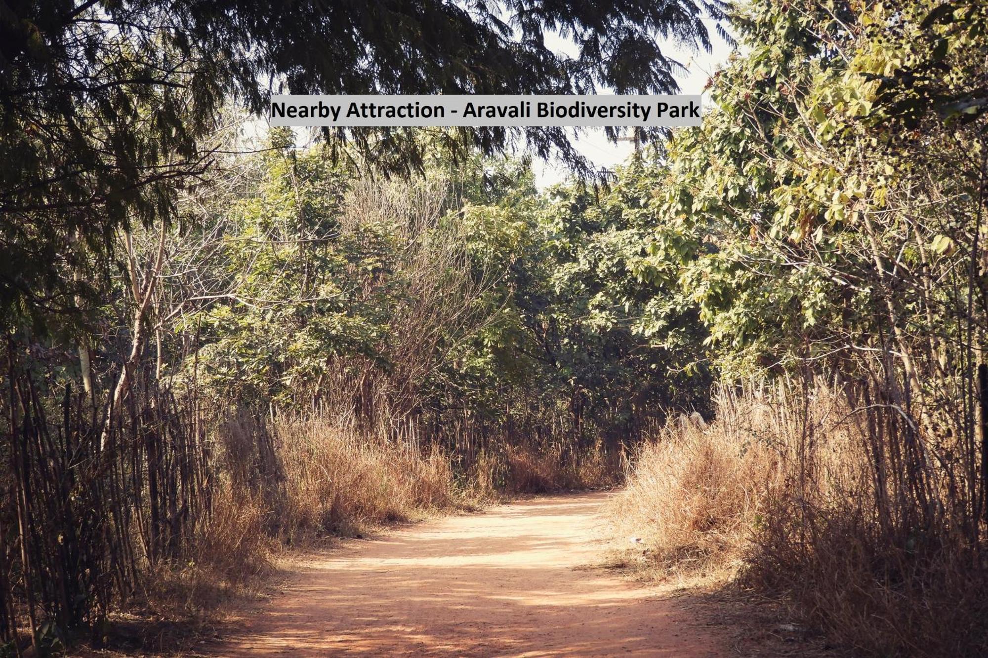 Oyo Dlf Cyber City Near Aravali Biodiversity Park Gurgaon Eksteriør bilde